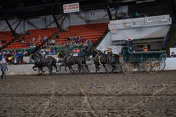 2019BigE_09272019_SCL_8637