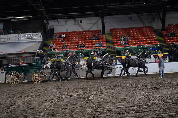 2019BigE_09272019_SCL_8642