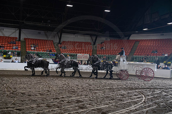 2019BigE_09272019_SCL_8644