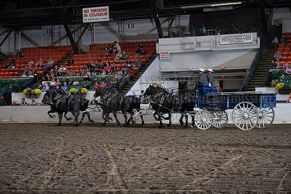2019BigE_09272019_SCL_8645
