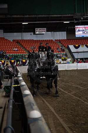 2019BigE_09272019_SCL_8646