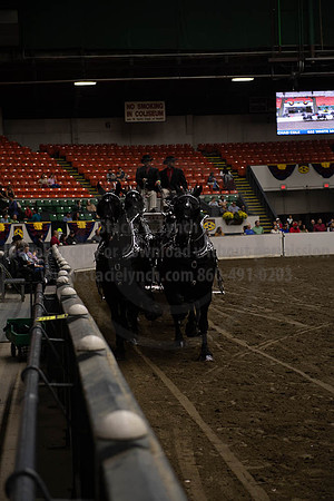 2019BigE_09272019_SCL_8647