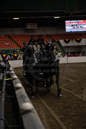 2019BigE_09272019_SCL_8648