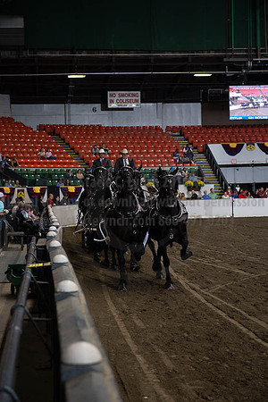 2019BigE_09272019_SCL_8649