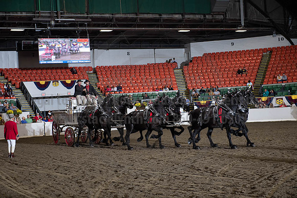 2019BigE_09272019_SCL_8658
