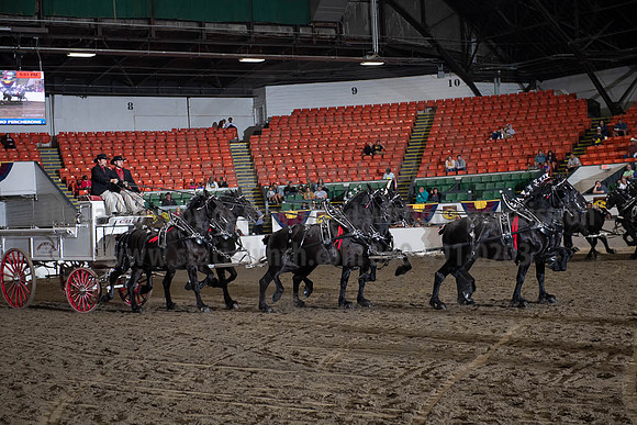 2019BigE_09272019_SCL_8659