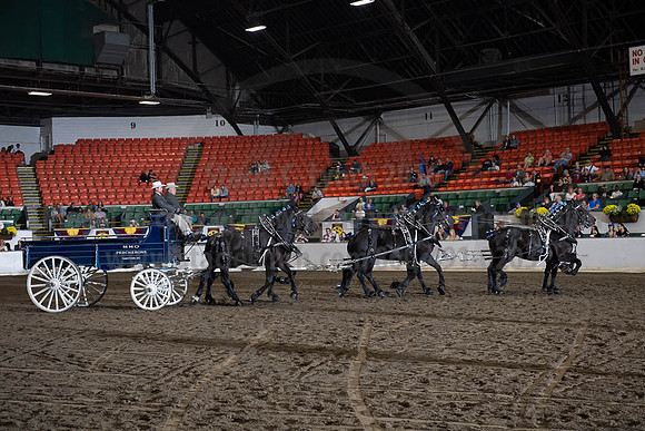2019BigE_09272019_SCL_8660