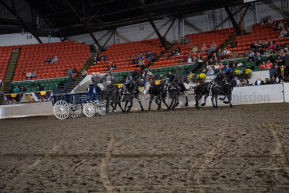 2019BigE_09272019_SCL_8664