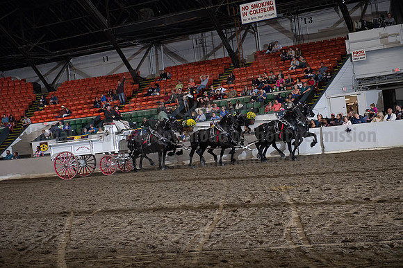 2019BigE_09272019_SCL_8665