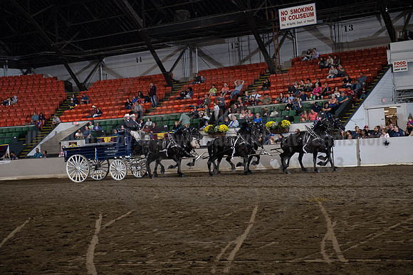 2019BigE_09272019_SCL_8667