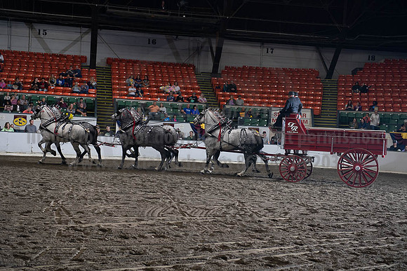 2019BigE_09272019_SCL_8668