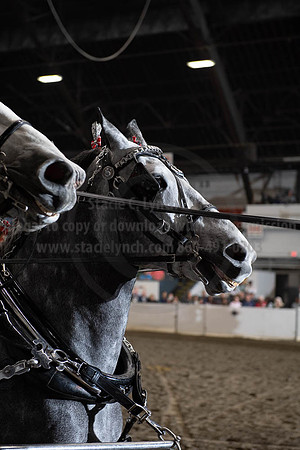 2019BigE_09272019_SCL_8670