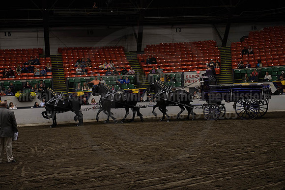 2019BigE_09272019_SCL_8674