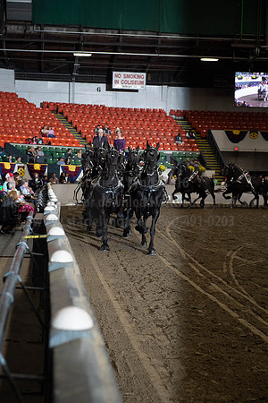 2019BigE_09272019_SCL_8676