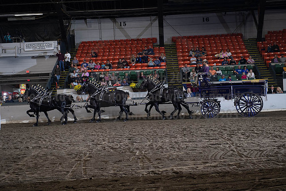 2019BigE_09272019_SCL_8679