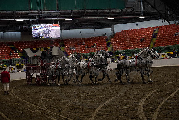 2019BigE_09272019_SCL_8680