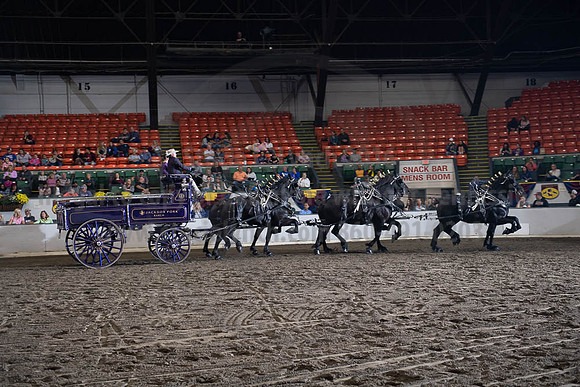 2019BigE_09272019_SCL_8682