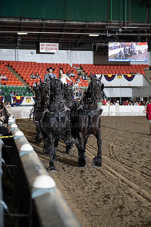 2019BigE_09272019_SCL_8695