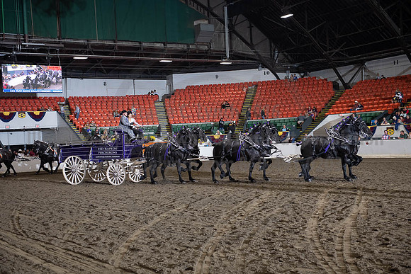 2019BigE_09272019_SCL_8701