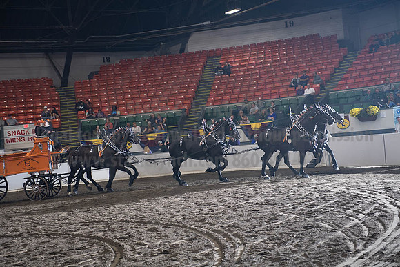 2019BigE_09272019_SCL_8708