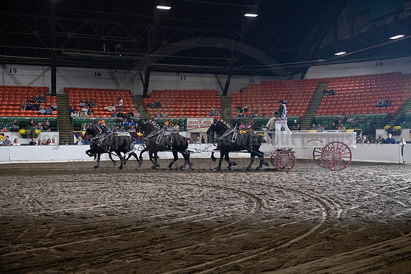 2019BigE_09272019_SCL_8709