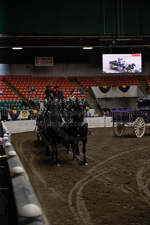 2019BigE_09272019_SCL_8715