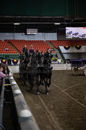 2019BigE_09272019_SCL_8720