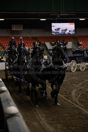 2019BigE_09272019_SCL_8722
