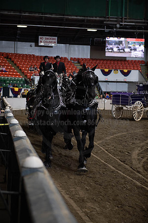 2019BigE_09272019_SCL_8727