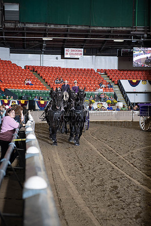 2019BigE_09272019_SCL_8728