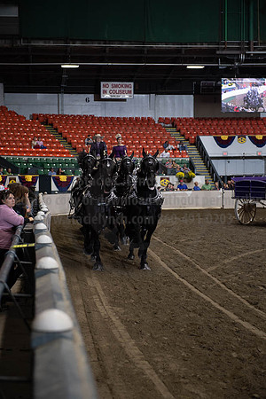 2019BigE_09272019_SCL_8729
