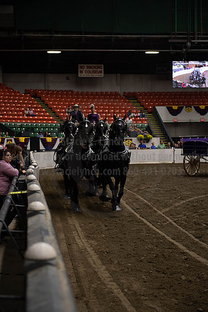 2019BigE_09272019_SCL_8730