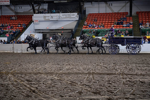 2019BigE_09272019_SCL_8731