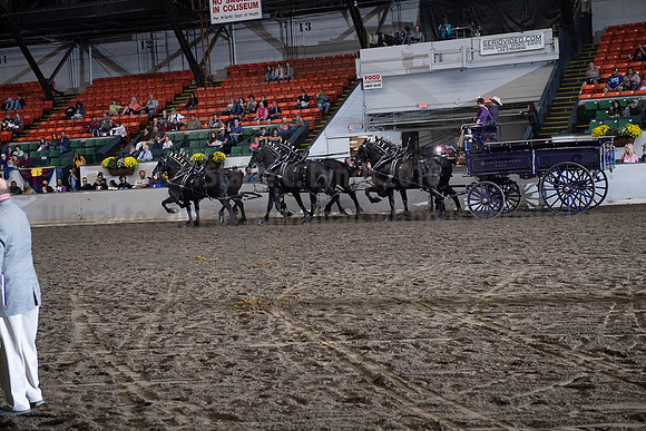 2019BigE_09272019_SCL_8732