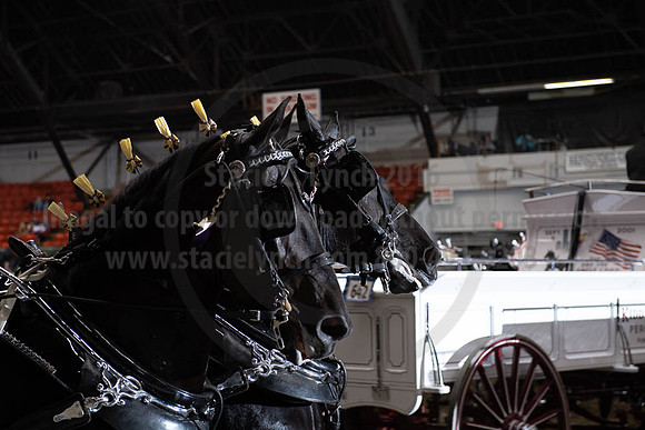 2019BigE_09272019_SCL_8737