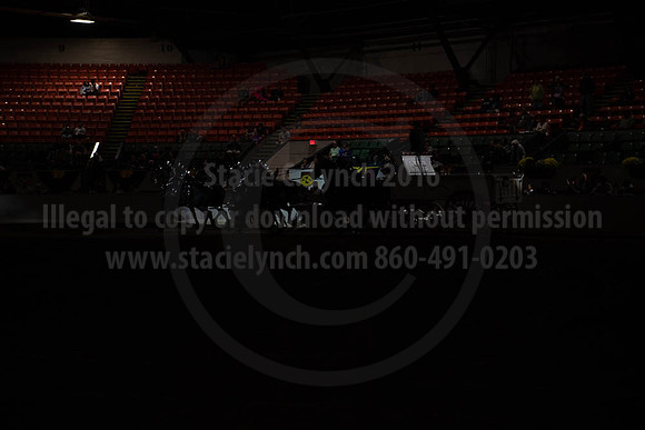 2019BigE_09272019_SCL_8741