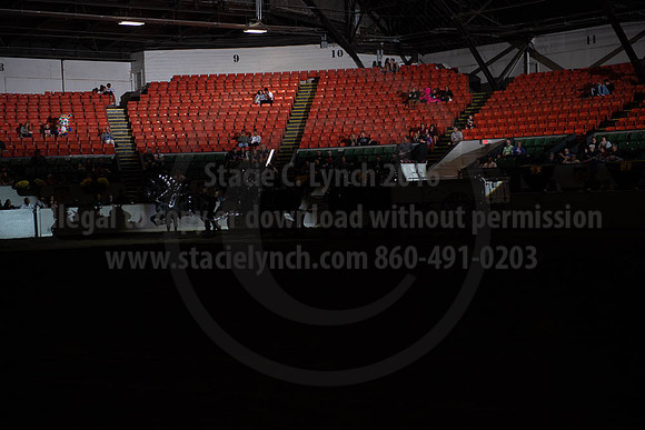 2019BigE_09272019_SCL_8742