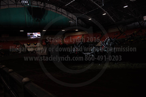 2019BigE_09272019_SCL_8746
