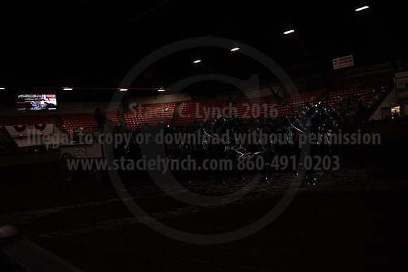 2019BigE_09272019_SCL_8748