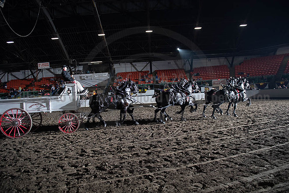 2019BigE_09272019_SCL_8752