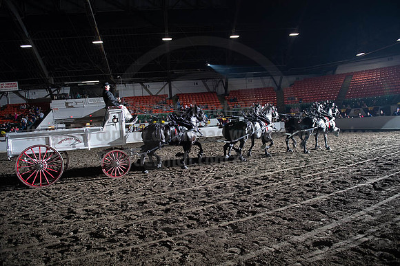 2019BigE_09272019_SCL_8753