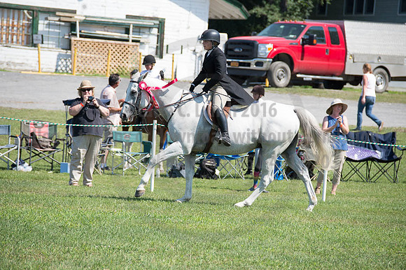2016DCF_08262016_SCL_0748