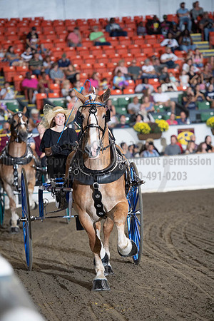 2019BigE_09282019_SCL_8842