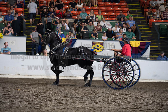 2019BigE_09282019_SCL_8841