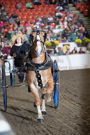 2019BigE_09282019_SCL_8843