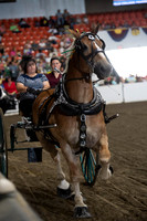 2019BigE_09282019_SCL_8844