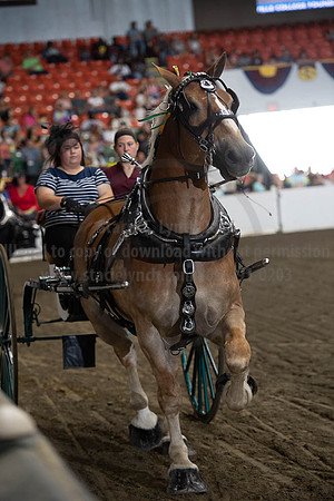 2019BigE_09282019_SCL_8844
