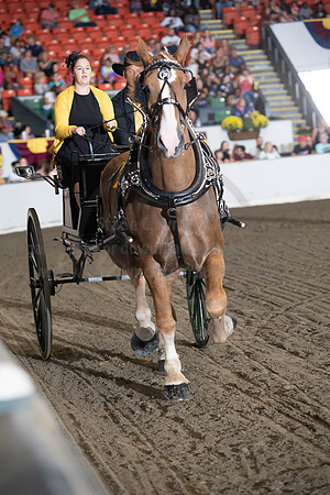 2019BigE_09282019_SCL_8854