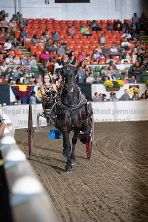 2019BigE_09282019_SCL_8851