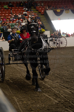 2019BigE_09282019_SCL_8848